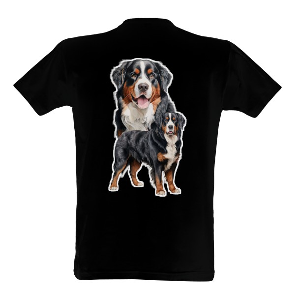 Bernský salašnický dvě strany