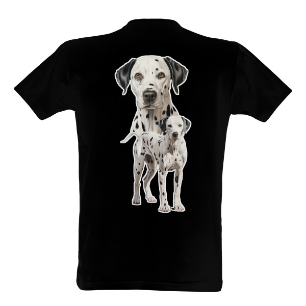 Dalmatin z obou stran 