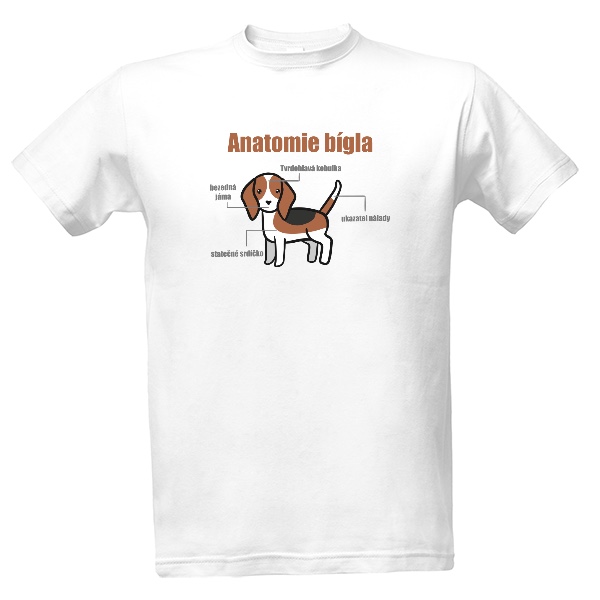 Tričko s potiskem Anatomie bígla