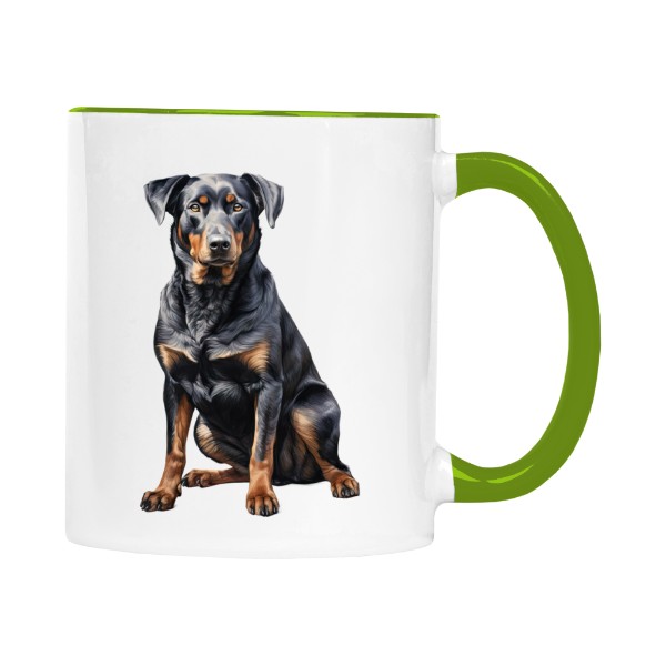 Beauceron sedící 