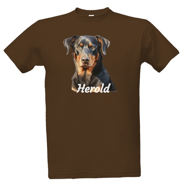 Beauceron změn jméno
