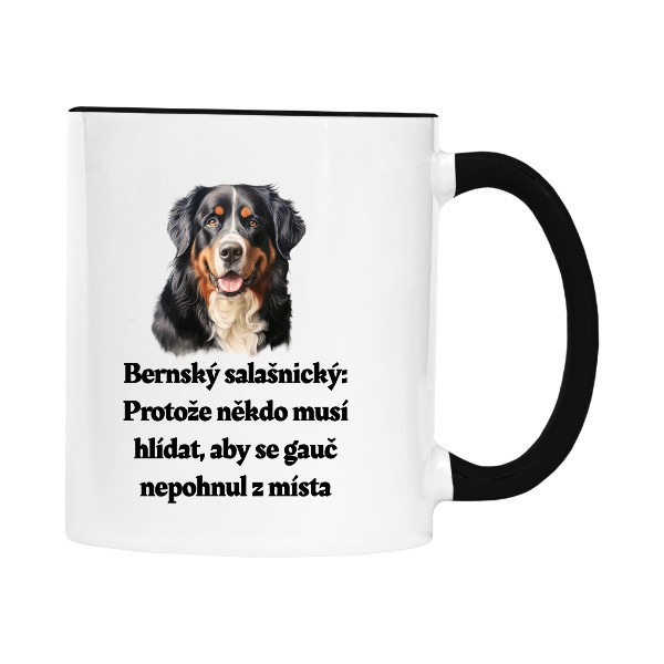 Bernský salašnický a gauč 