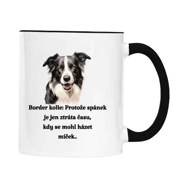 Border kolie a míček