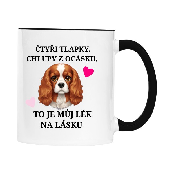 Charles Spaniel - Tlapky 