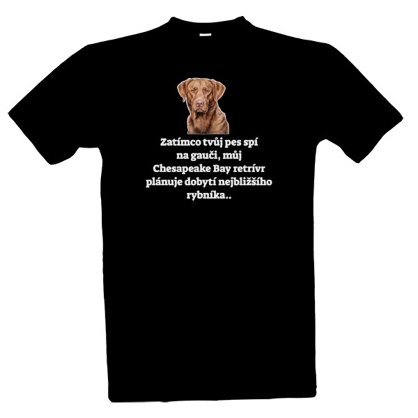 Chesapeake bay a rybník