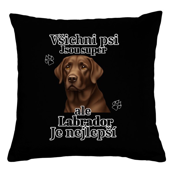Čoko Labrador