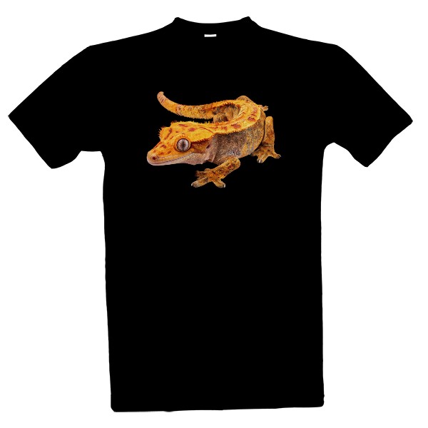 Crested gecko
