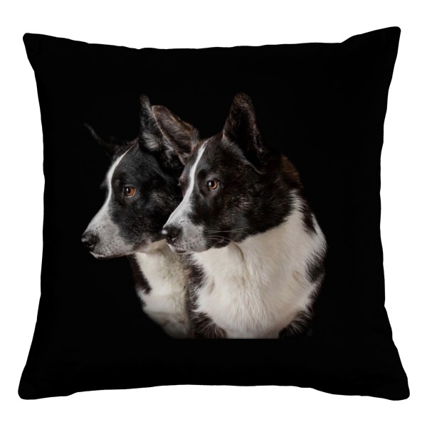 Dokonalé corgi
