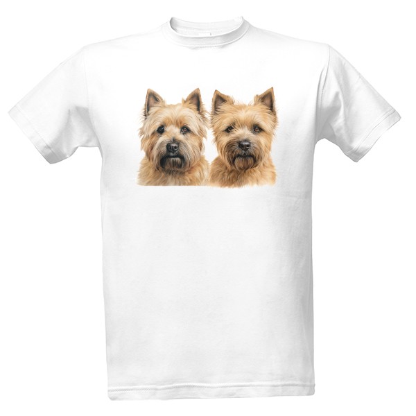 Dva cairn teriérové