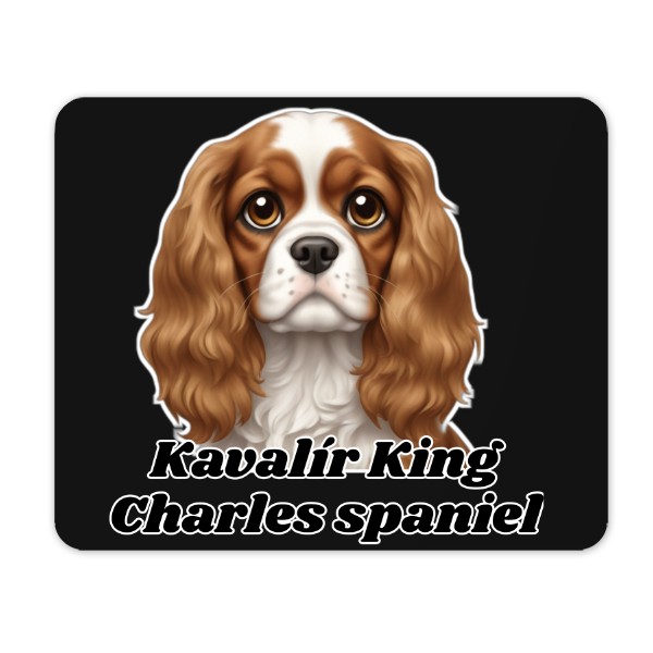 Kavalír a nápis Kavalír 