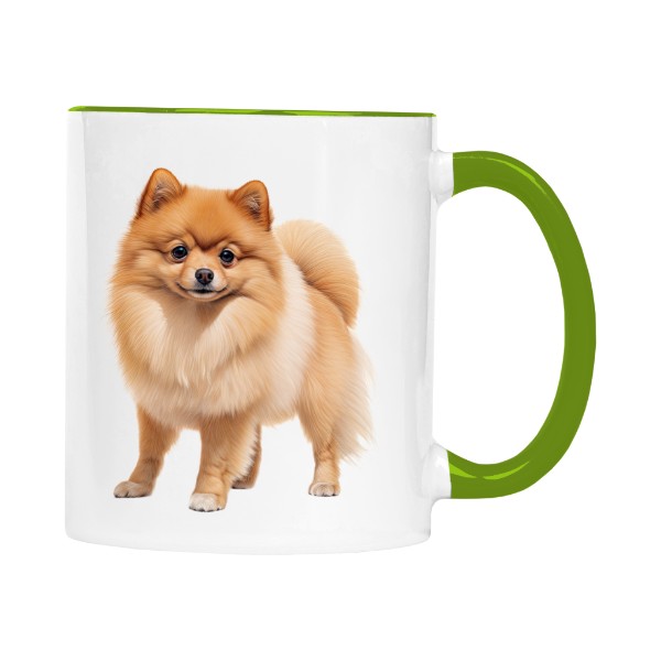 Koukající pomeranian