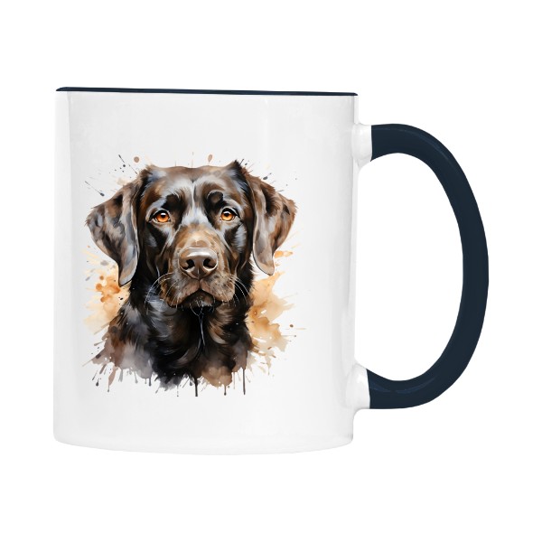 Labrador - čokoládová