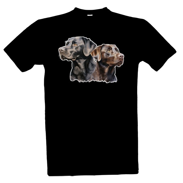 Labrador z obou stran 