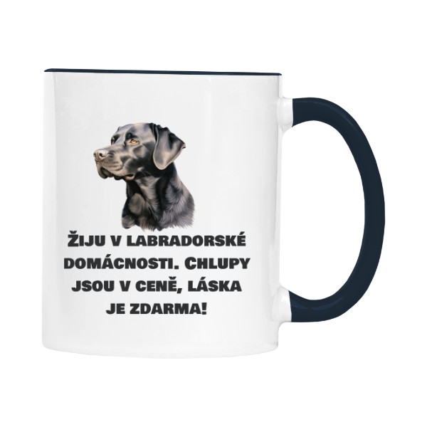 Labradorská domácnost 