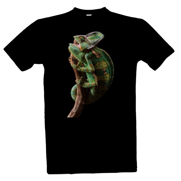 Lezoucí chameleon