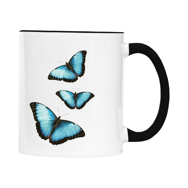 Morpho helenor 
