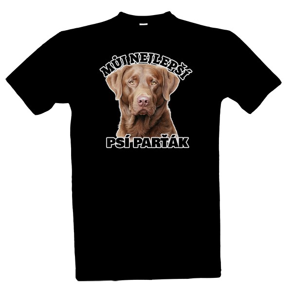Můj Chesapeake retrívr