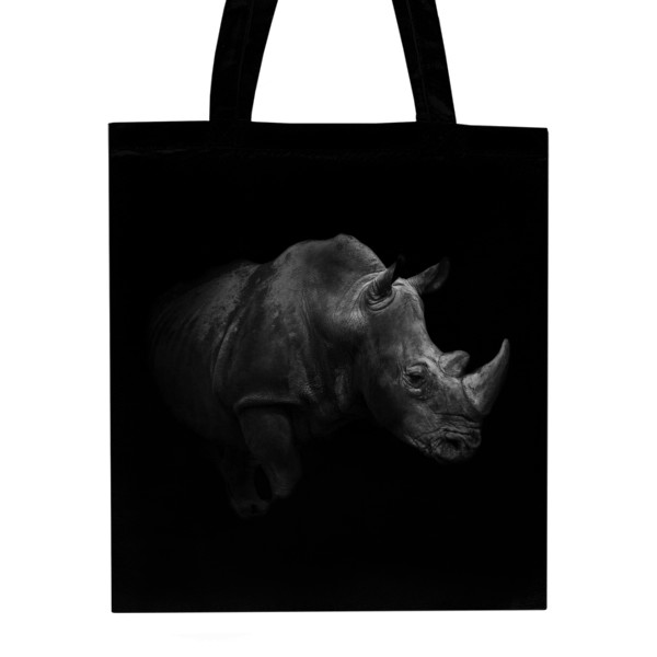 Nosorožec ve stínu