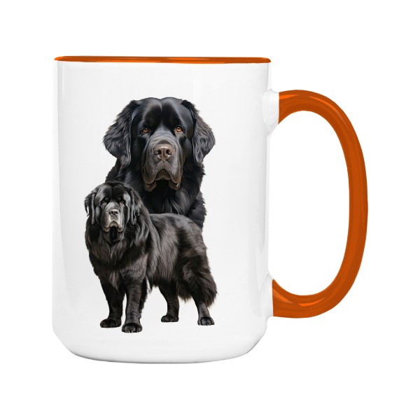 Novofundlanský černý