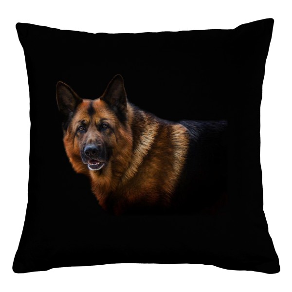 Oblíbený Ovčák
