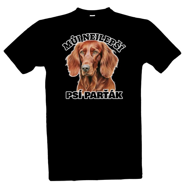 Parťák Irský setr