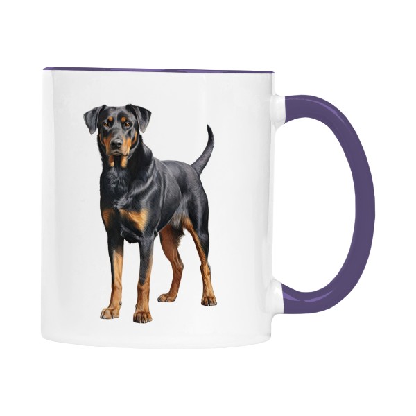 Postoj Beaucerona