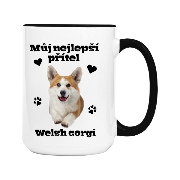 Přítel Welsh corgi