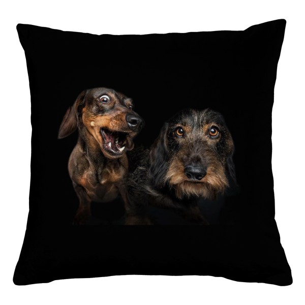 Srandovní Jezevčíci