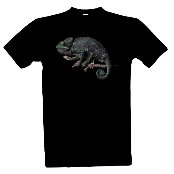 Tmavý chameleon