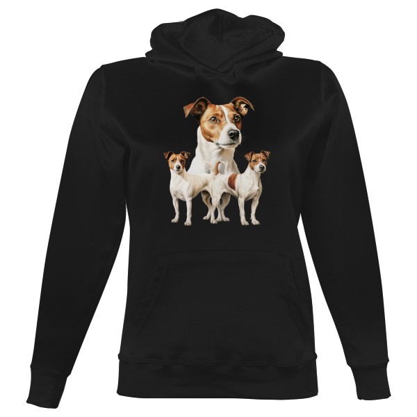 Tři Jack russelli