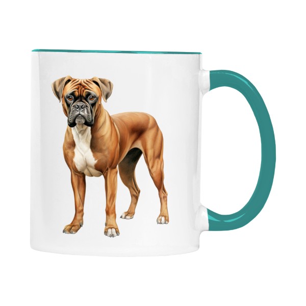 Tricolor boxer