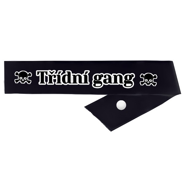 Třídní gang