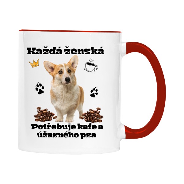 Úžasný corgi