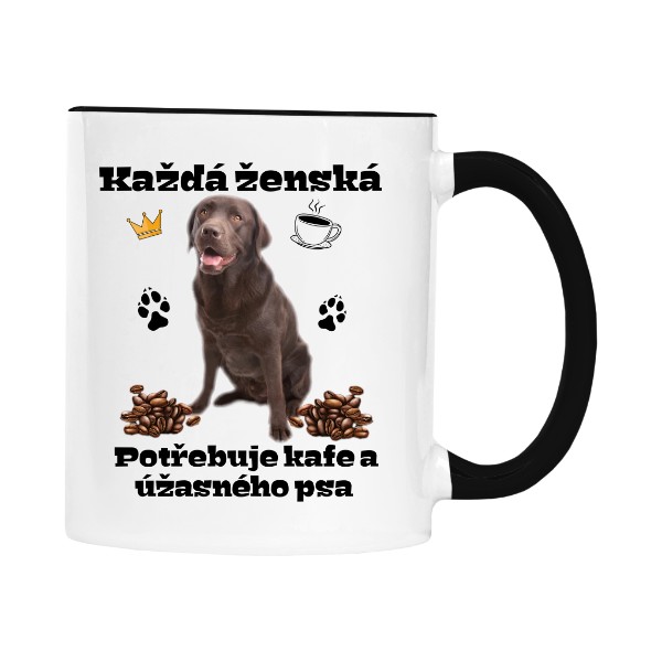 Úžasný Labrador hnědý