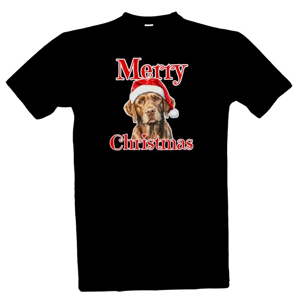 Vánoční čoko labrador